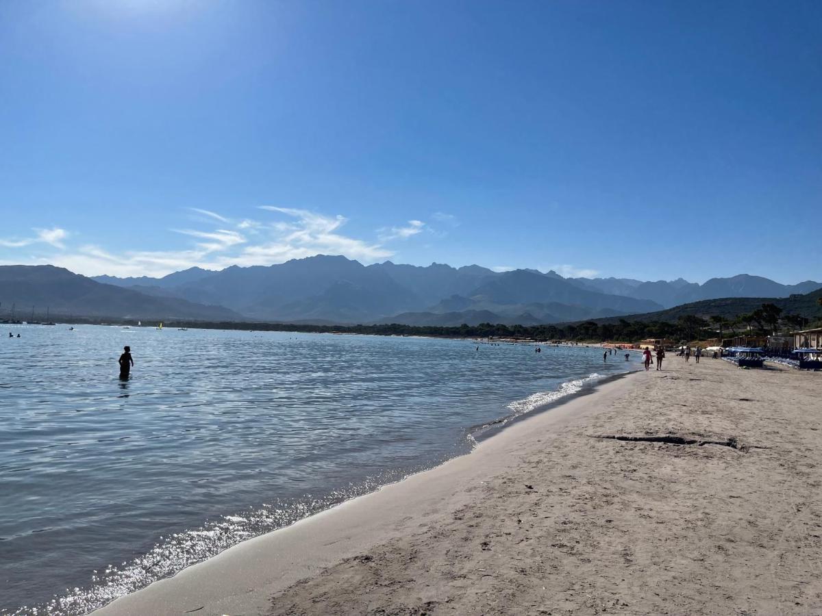Calvi T2 Climatise, Wifi, Centre-Ville, A Proximite Plage, Commerces, Taxi & Gare, Vue Plage & Montagne Zewnętrze zdjęcie